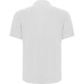 Miniatyrbilde 2 av 4: Roly Unisex Adult Centauro Premium Short-Sleeved Polo Shirt
