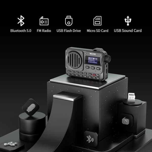 Bärbar Bluetooth-högtalare, FM-radio, AUX-ingång, lång batteritid,svart