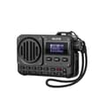 Miniatyrbild 1 av 4: Bärbar Bluetooth-högtalare, FM-radio, AUX-ingång, lång batteritid,svart