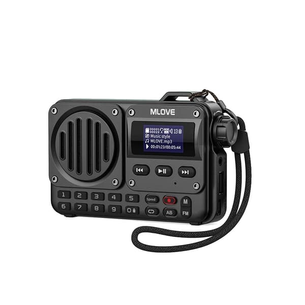 Bärbar Bluetooth-högtalare, FM-radio, AUX-ingång, lång batteritid,svart