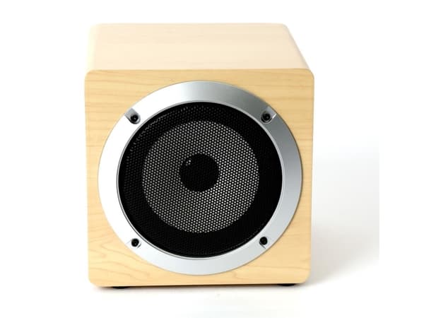 Omega OG60W, 1.0 kanavaa, 5 W, 100 - 20000 Hz, 85 dB, Langallinen & langaton, 10 m Ruskea, Puu