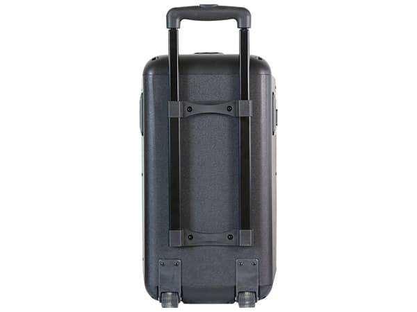 DENVER TSP-306 - Partyhögtalare - för bärbar användning - trådlös - Bluetooth - 20 Watt - 2-vägs
