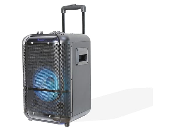DENVER TSP-306 - Partyhögtalare - för bärbar användning - trådlös - Bluetooth - 20 Watt - 2-vägs
