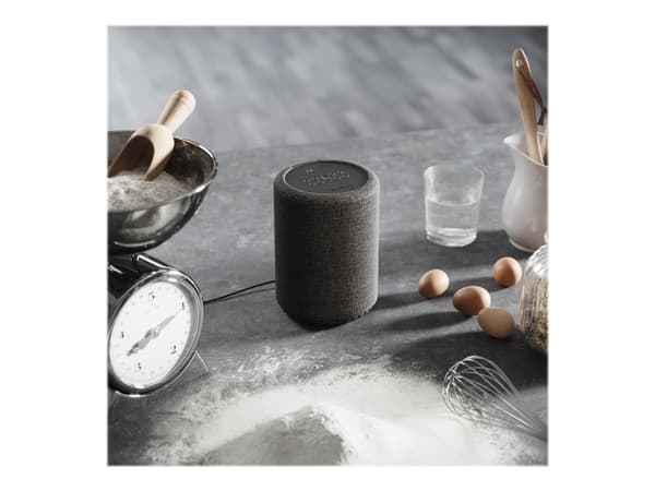 Audio Pro G10 - Smarthögtalare - Bluetooth, IEEE 802.11b/g/n/ac - Appkontrollerad - 2-vägs - mörkgrå