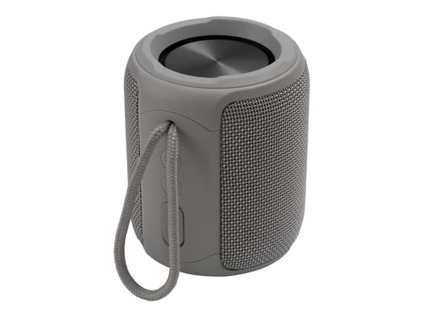 STREETZ CM766 - Høyttaler - for bærbar bruk - trådløs - Bluetooth - 10 watt - grå