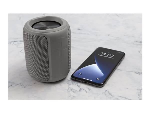 STREETZ CM766 - Høyttaler - for bærbar bruk - trådløs - Bluetooth - 10 watt - grå