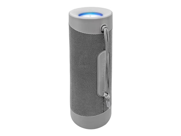 DENVER BTV-208 - Høyttaler - for bærbar bruk - trådløs - Bluetooth - 10 watt - grå Sølv