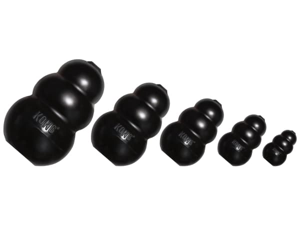KONG EXTREME S - KOIRAN PURUKUMI