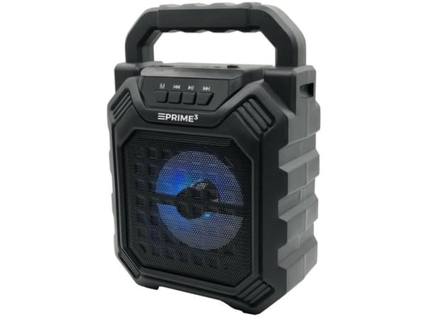Portable speaker APS09 Bluetooth FM USB