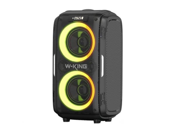 Trådløs Bluetooth-høyttaler W-KING T9 Pro 120W (svart)
