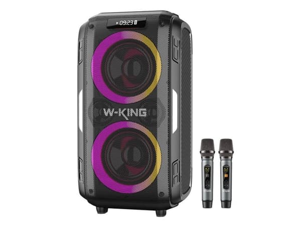 Trådløs Bluetooth-høyttaler W-KING T9 Pro 120W (svart)