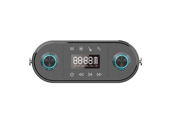 Trådløs Bluetooth-høyttaler W-KING H10 S 80W (svart)