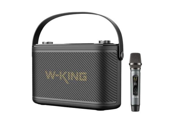 Trådløs Bluetooth-høyttaler W-KING H10 S 80W (svart)
