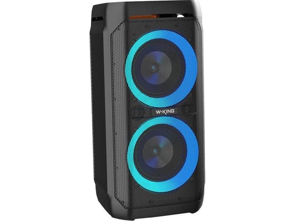 Langaton Bluetooth-kaiutin W-KING T11 100W (musta)