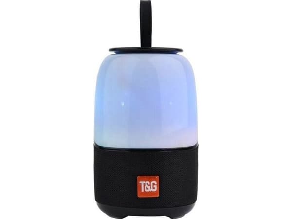 Högtalare T&G TG608 svart
