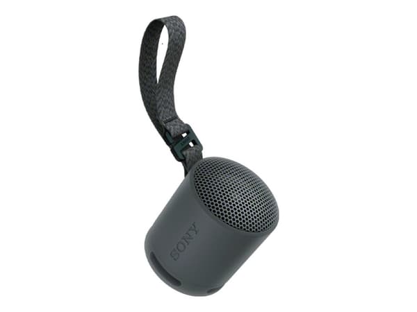 Sony SRS-XB100 - Högtalare - för bärbar användning - trådlös - Bluetooth - Appkontrollerad - svart Svart