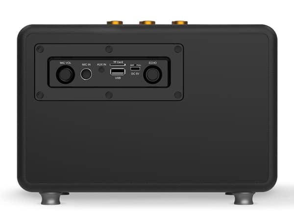 Tracer M30 - Høyttaler - for bærbar bruk - 2.0-kanal - trådløs - Bluetooth - 30 watt - svart