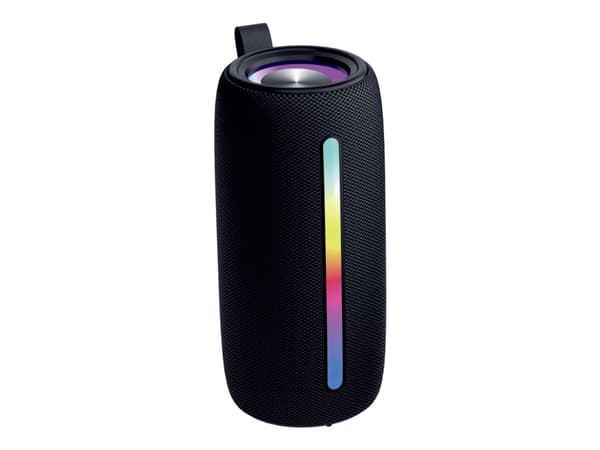 DENVER BTL-360 - Høyttaler - for bærbar bruk - trådløs - Bluetooth - 10 watt - svart