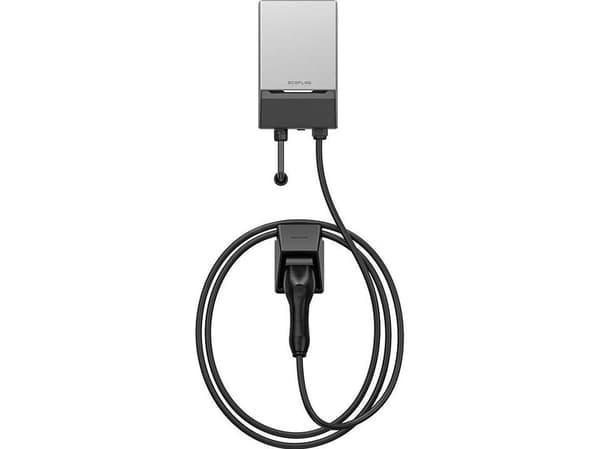 ECOFLOW PowerPulse (EU)