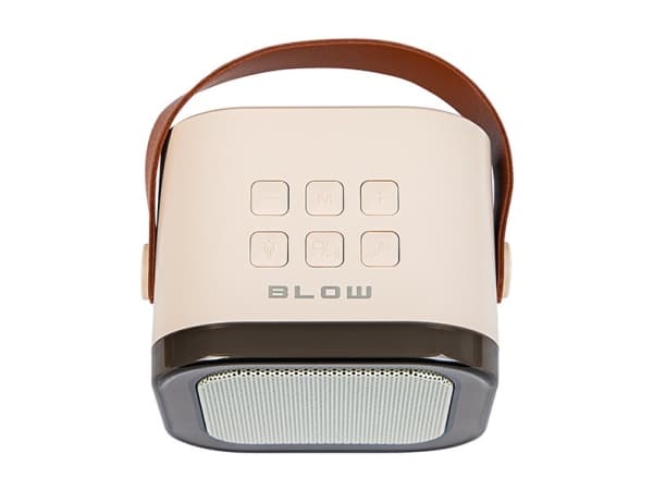 Bluetooth-kaiutin KARAOKE RGB 10W