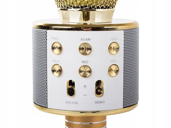 Setty Karaoke Trådlös Mikrofon med Bluetooth-högtalare - Guld