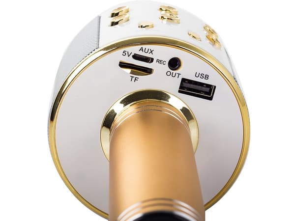 Setty Karaoke Trådlös Mikrofon med Bluetooth-högtalare - Guld