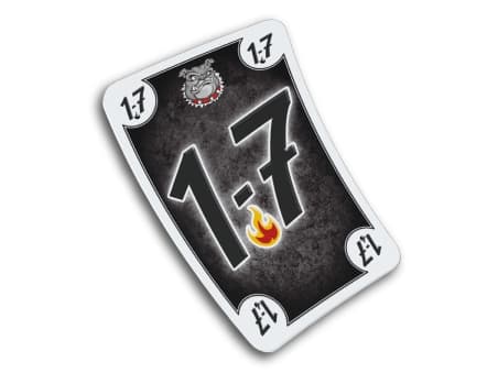 Schmidt Spiele Black DOG, 8 år, 30 min