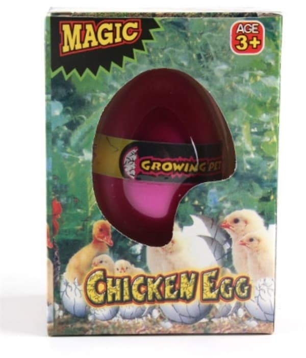 Magiskt ägg, Kyckling