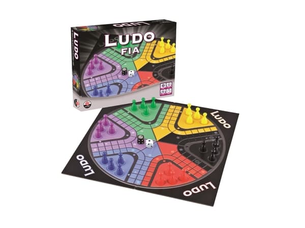 DANSPIL Ludo