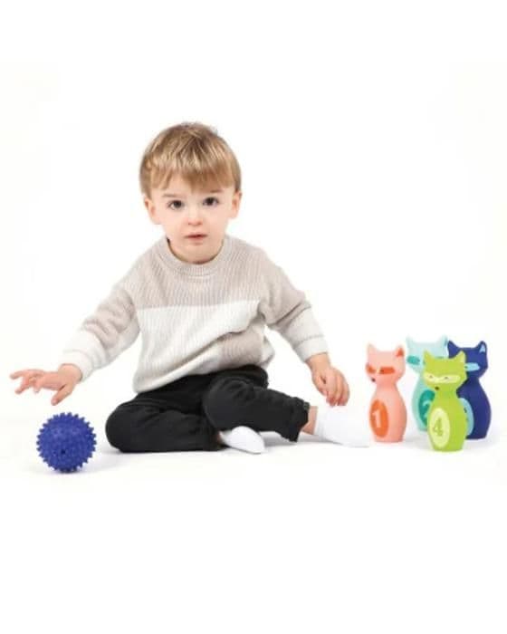 LUDI - ACTIVITY BOX Mattor, käglor och Former - Från 10 månader