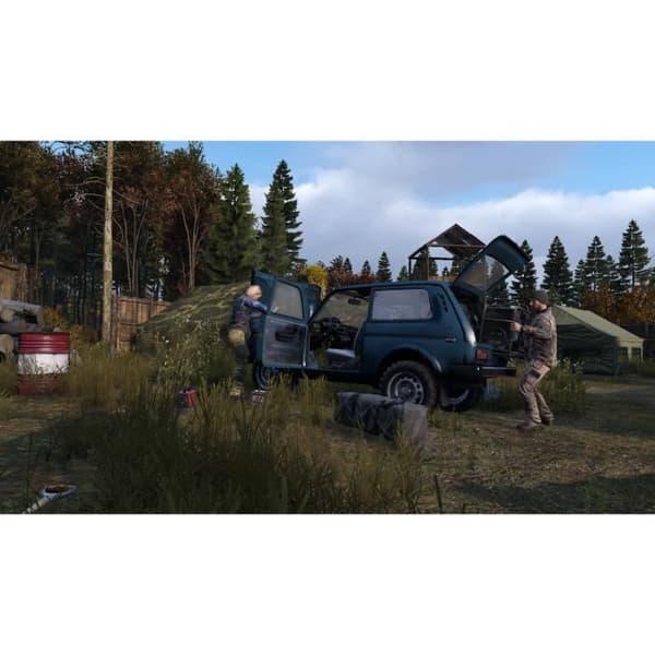 DayZ
