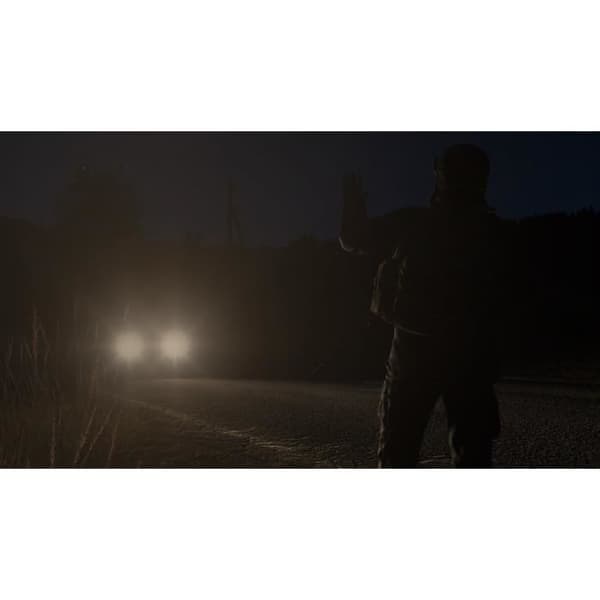 DayZ