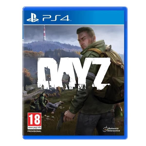 DayZ