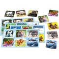 Miniatyrbild 2 av 2: Zoo Lotto - SCHMIDT SPIELE