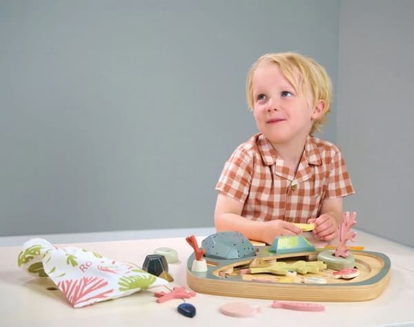 Tender Leaf Toys - My little rock pool - DAM