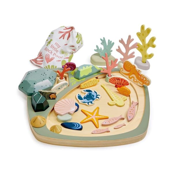 Tender Leaf Toys - My little rock pool - DAM