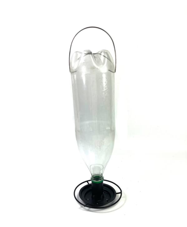 Bird feeder PET