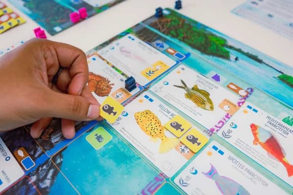 Finspan (eng. regler) 7.8 på Boardgamegeek