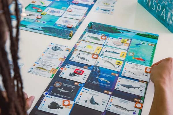 Finspan (eng. regler) 7.8 på Boardgamegeek