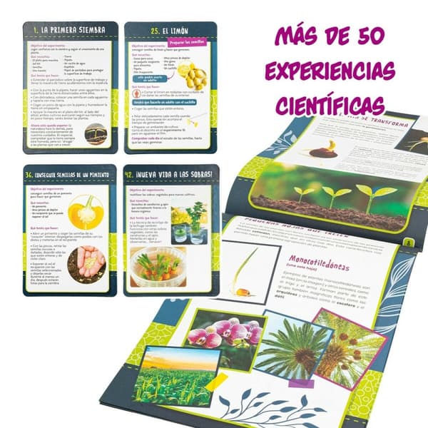 Vetenskapsspel Lisciani Botánica ES (6 antal)