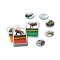 Miniatyrbild 2 av 6: Utbildningsspel Clementoni Dinosaures et préhistoire (FR)