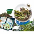 Miniatyrbilde 3 av 4: Vitenskapsspill Lisciani Giochi Habitats & Ecosystems
