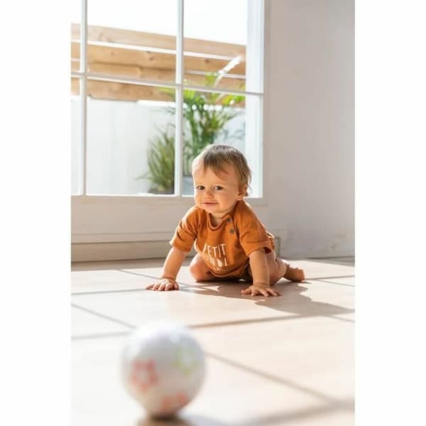 Pedagogisk Spill Nathan Exploration ball