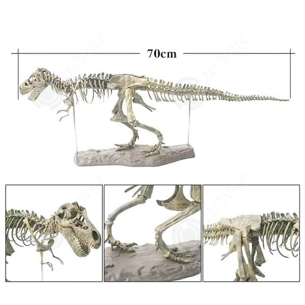Dinosauriefossil skelett INN® 70x12x22cm PVC dinosaurgrävsats T-Rex realistisk dinosaurmodell pedagogiska leksaker present till barn