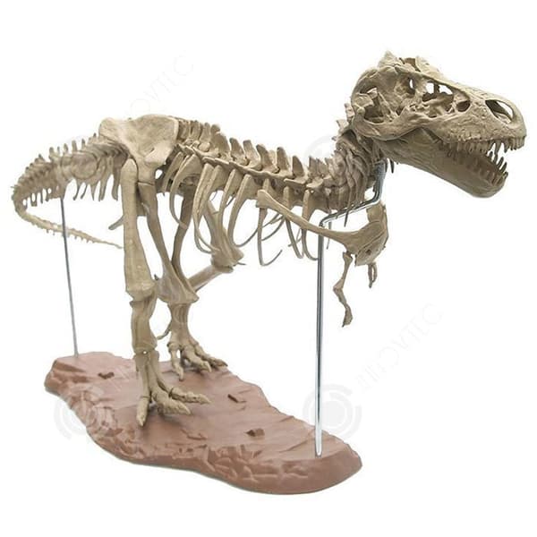 Dinosauriefossil skelett INN® 70x12x22cm PVC dinosaurgrävsats T-Rex realistisk dinosaurmodell pedagogiska leksaker present till barn