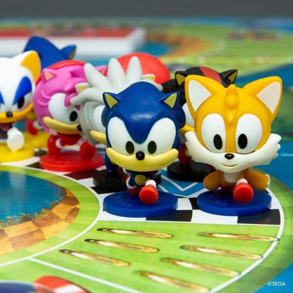 Sonic och hans följeslagare