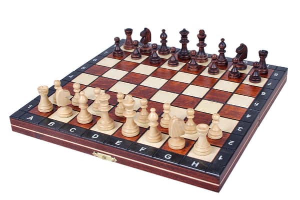 MAGNETISK SKAK (27 cm)
