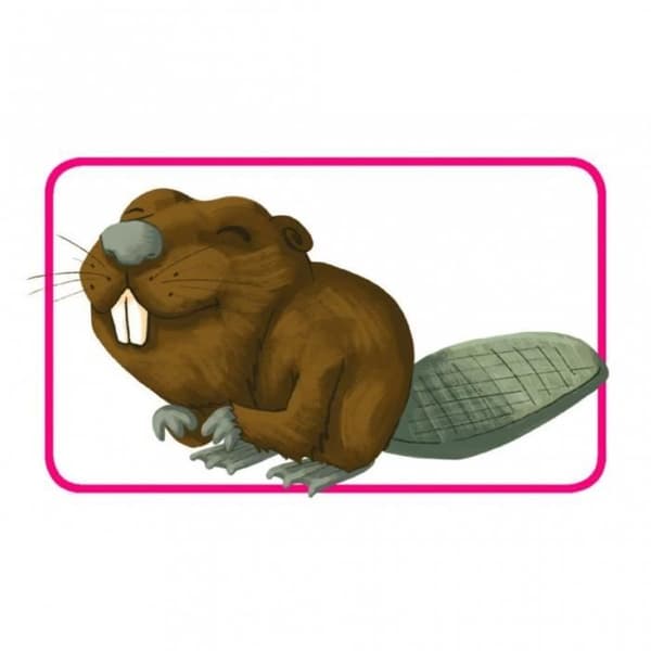 Concept Kids: Animals - Asmodee - Brädspel