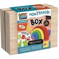Miniatyrbild 1 av 4: Utbildningsspel - LISCIANI - Montessori Box - Synen - Träregnbåge - Färger och syn - Montessori-aktiviteter