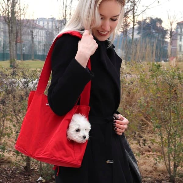 FOLDABLE CARRIER LAZY DOG UNITED PETS RÖD